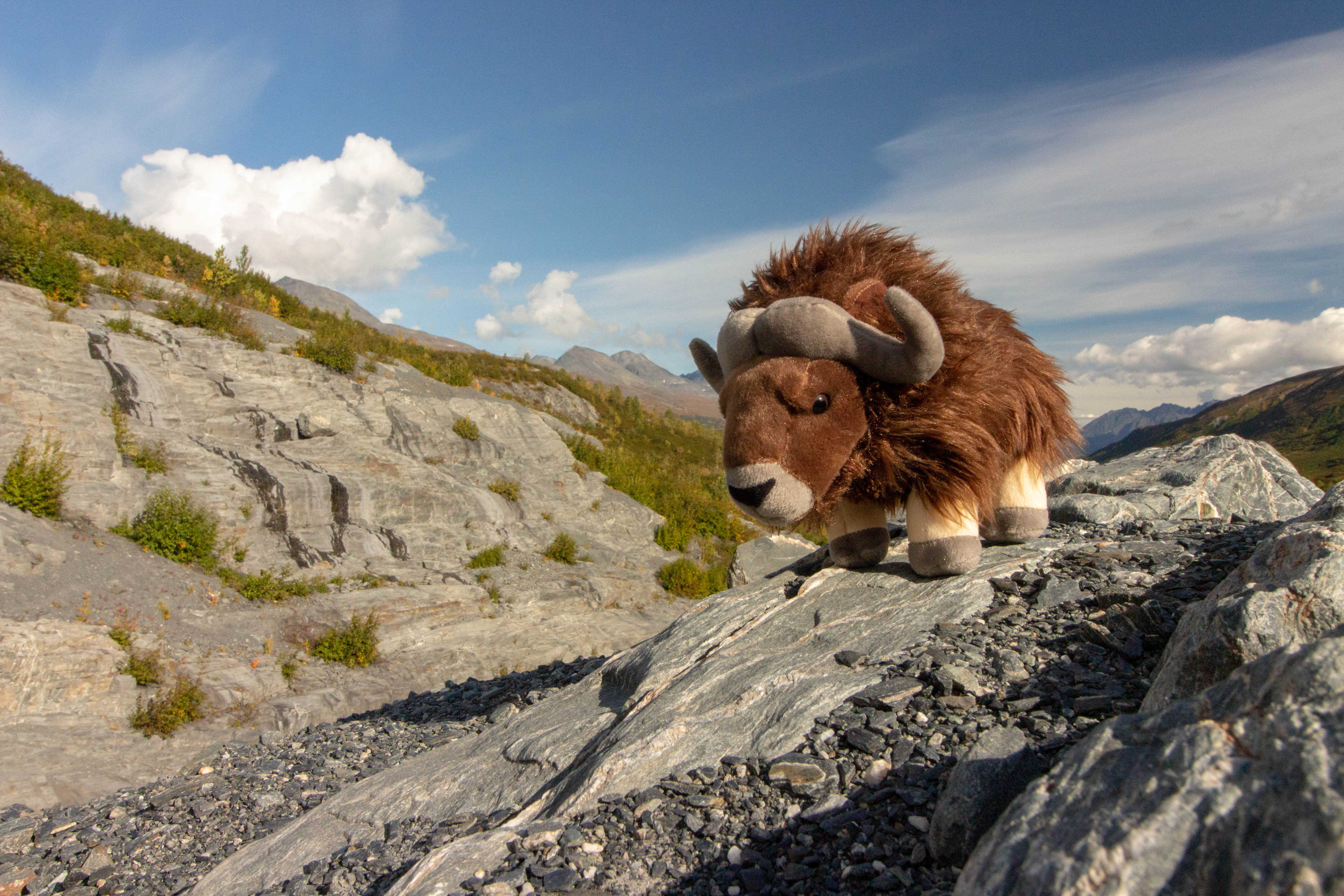 AAAH ! IL VA CHARGER !