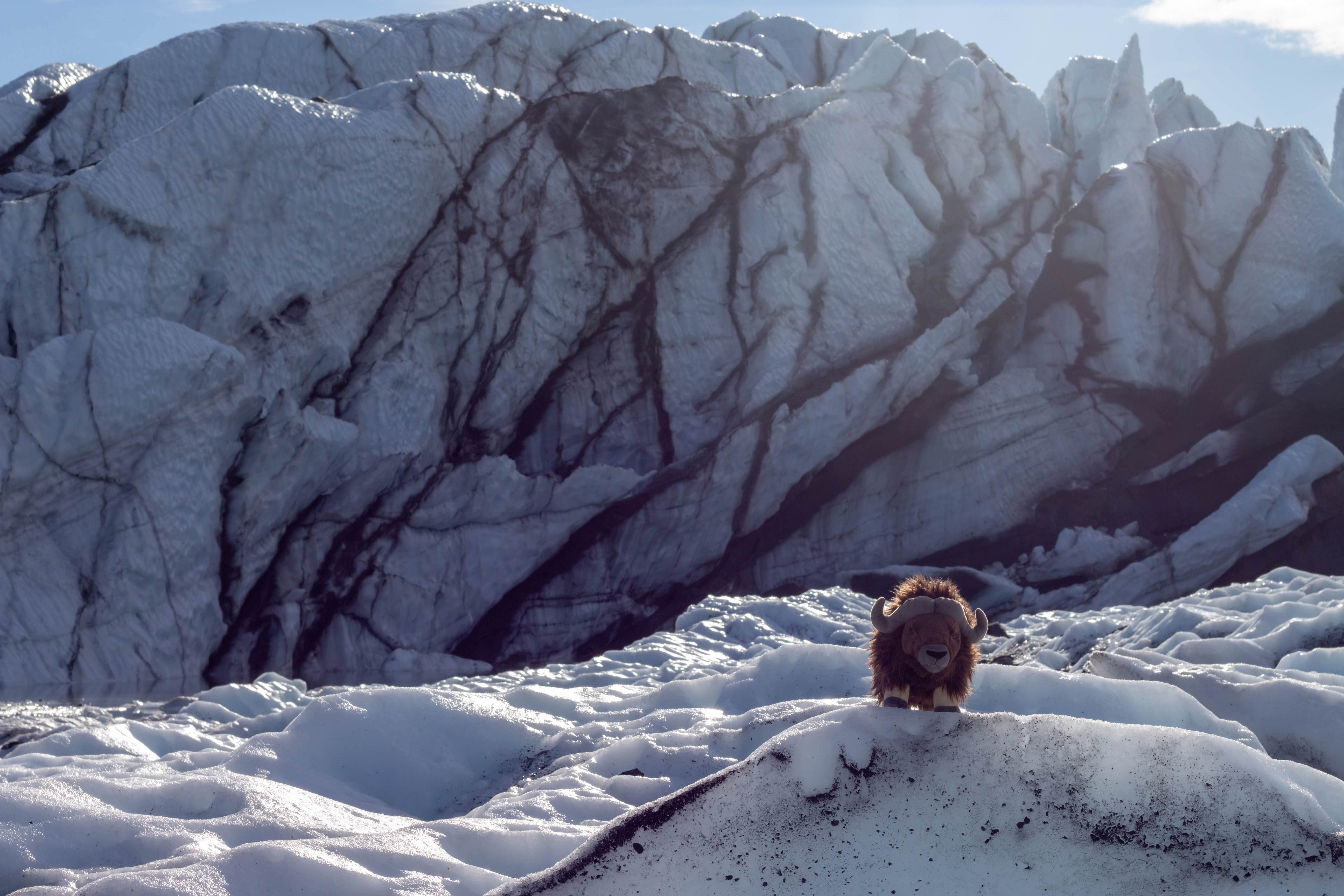 Musky va où il veut !
