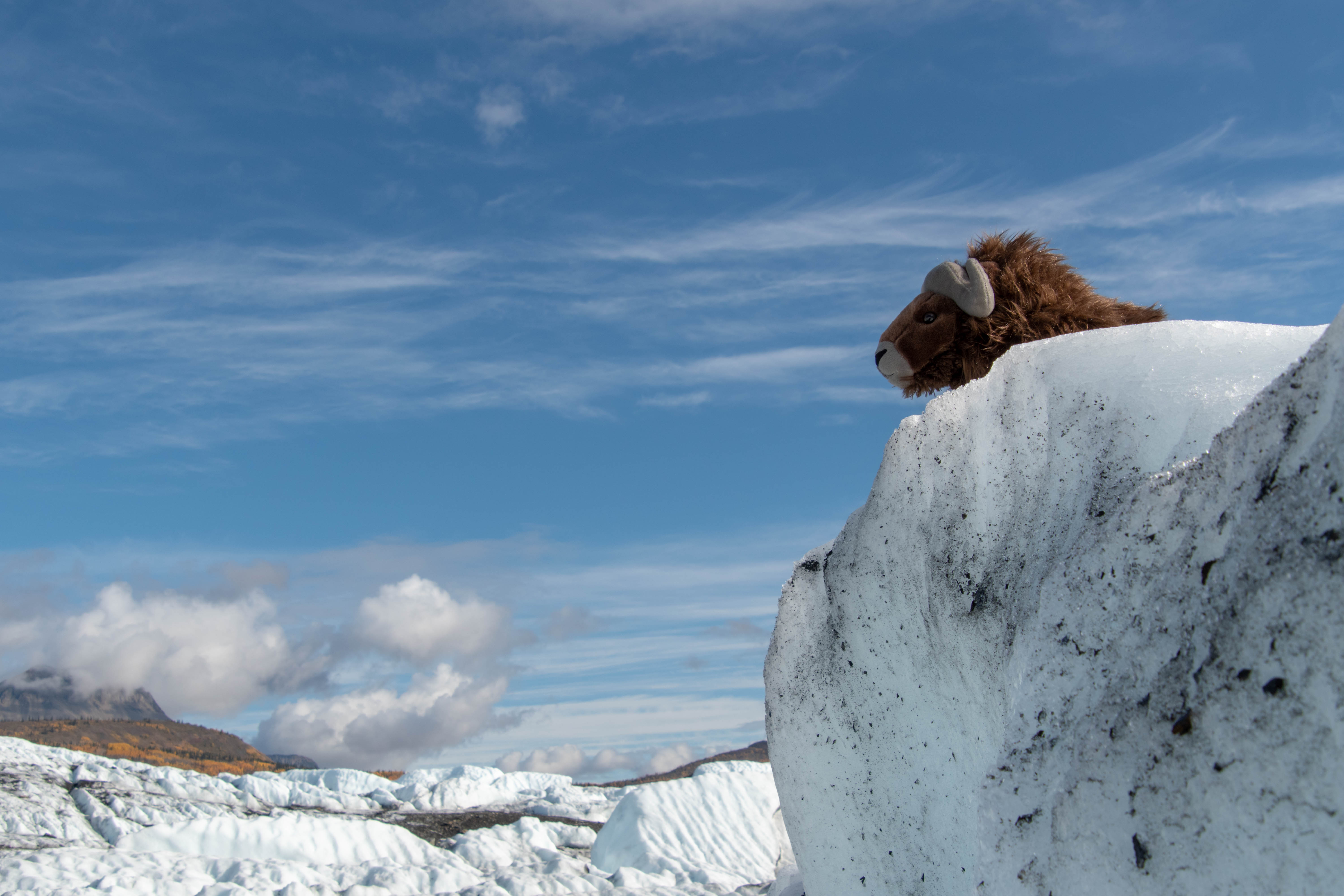 Another day, another Musky pic