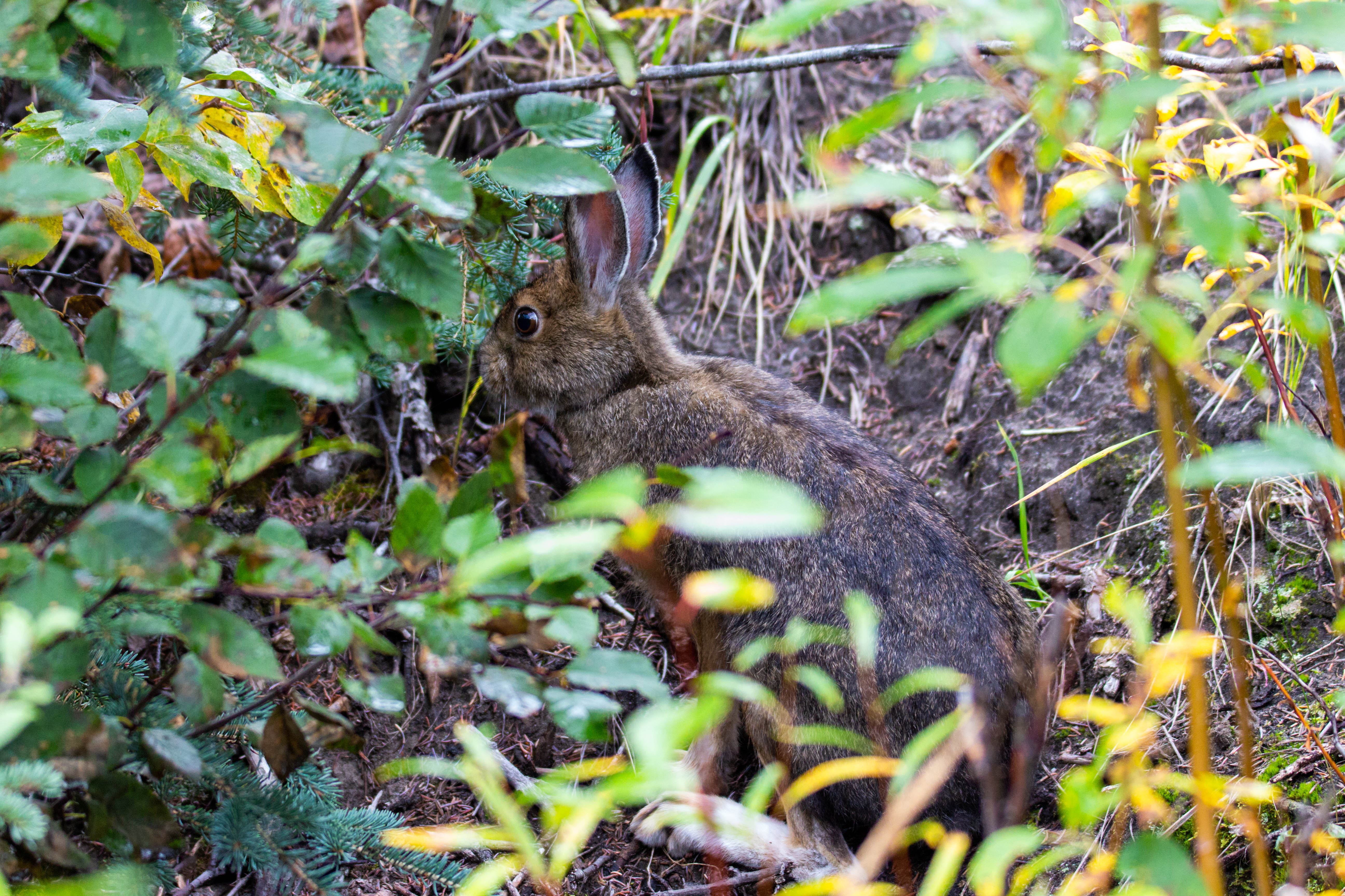"Vraiment trop kiki"
