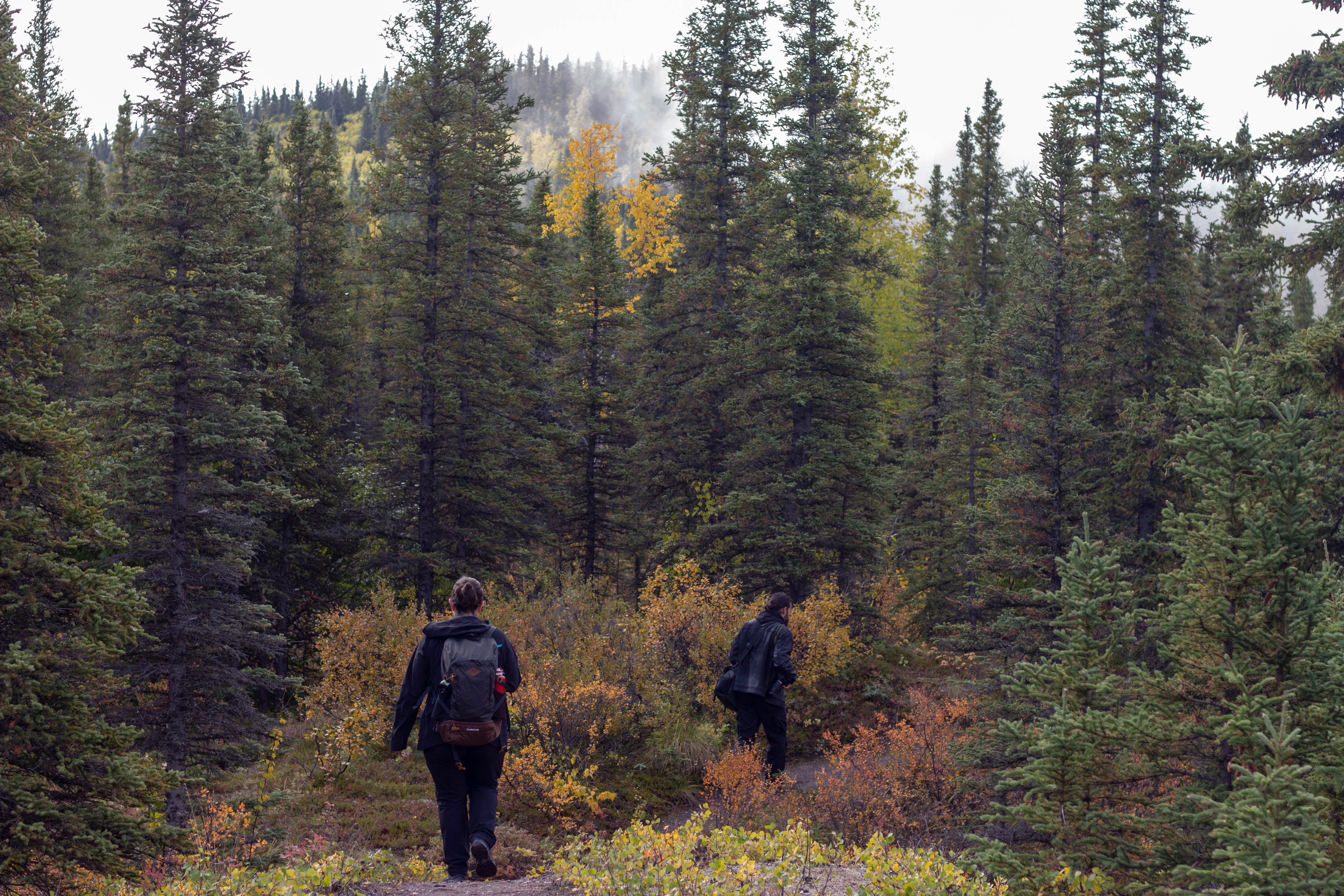 Le long de la crête